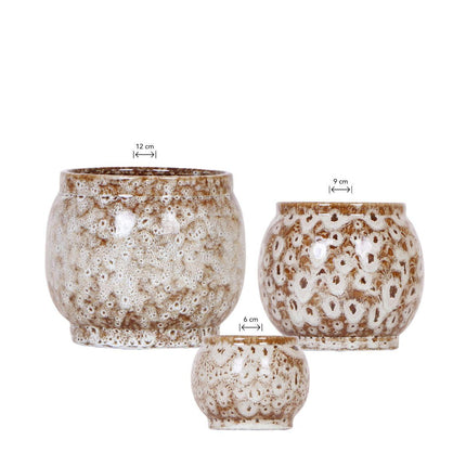 Kolibri Home | Combo deal - Safari pots