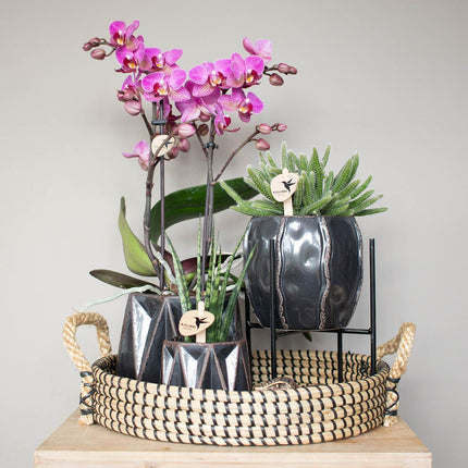 Kolibri Home | Plant Stand - Black metal raised plant stand - Ø12cm