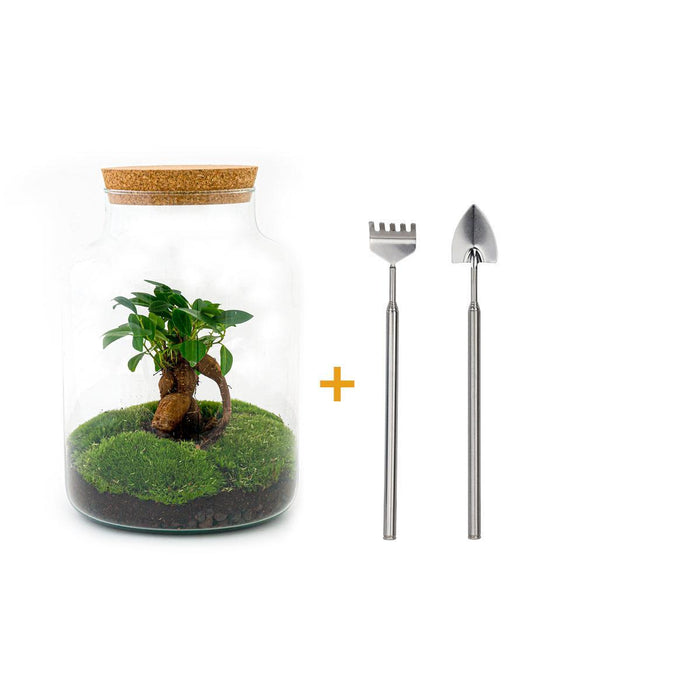 DIY terrarium - Milky met bonsai - ↕30cm + RSTS - Rake + Shovel