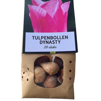 Dynasty - Tulipanløg - 20 stk. - Blomsterløg