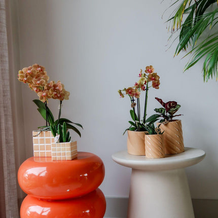 Kolibri Home | Candy decorative pot - Peach - Ø9cm