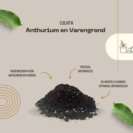 Culvita - Anthurien- und Farnerde 5 Liter - Blumenerde geeignet für Anthurien und Farne