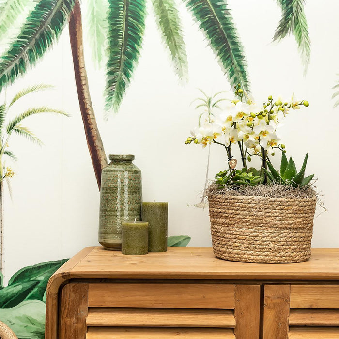 Kolibri Home | Reed Basket bloemschaal - Rieten gevlochten sierschaal - Ø30cm