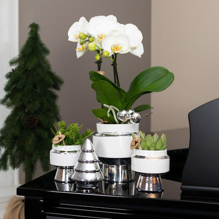 Kolibri Home | Le Chic flower pot - White ceramic decorative pot with silver details - Ø9cm