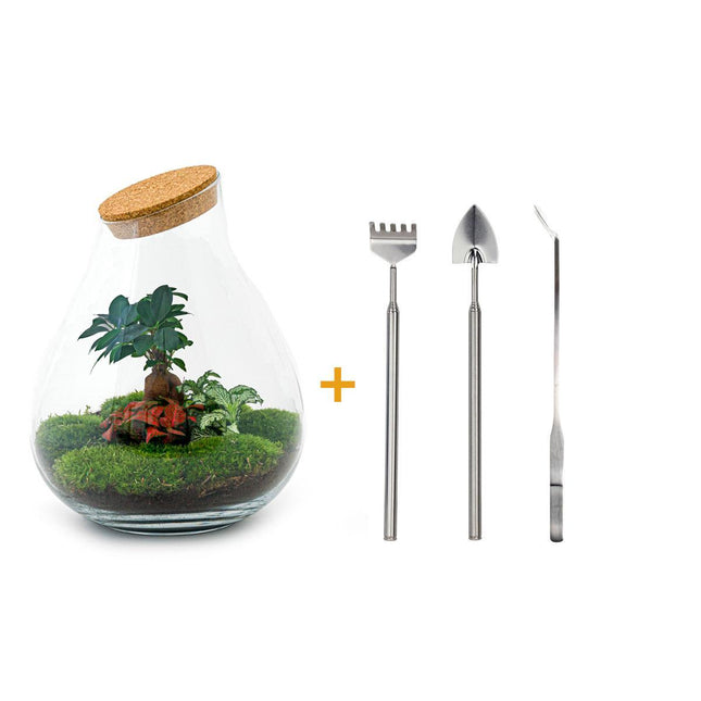 Terrario fai da te - Bonsai Drop XL - ↕37cm - Rastrello + Pala + Pinzette