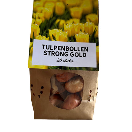 Oro intenso - Bulbi di tulipano - 20 pezzi - Bulbi di fiori