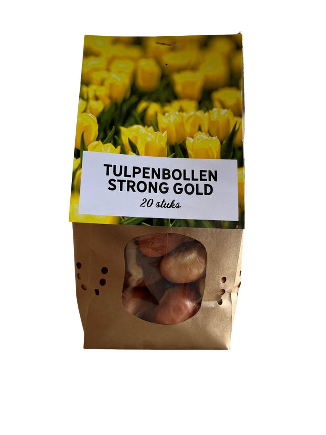 Oro intenso - Bulbi di tulipano - 20 pezzi - Bulbi di fiori