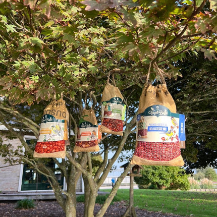 Buffet d'oiseaux | Mélange pour pique-nique d'oiseaux, lot de 4 | 4 sachets de 300 g