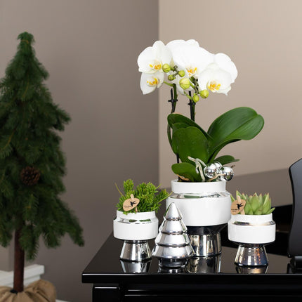Kolibri Home | Le Chic flower pot - White ceramic decorative pot with silver details - Ø9cm