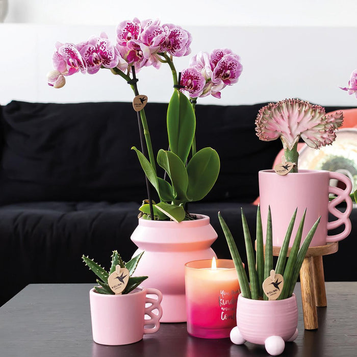 Kolibri Home | Happy Mug roze bloempot - roze keramieken sierpot - Ø9cm