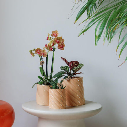 Kolibri Home | Candy decorative pot | High - Peach - Ø6cm