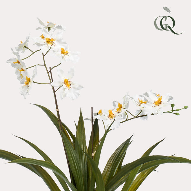 Pianta di orchidea artificiale - Bianca - ↕45cm - Ø16cm