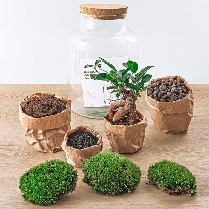 DIY terrarium - Milky met bonsai - ↕30cm + RSTS - Rake + Shovel + Tweezer + Scissors