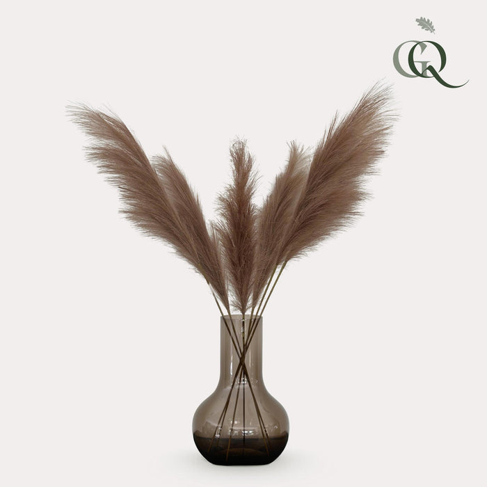 Kunstbloemen Solo - 6x - ↕115cm - Pampas Plumes - Brown