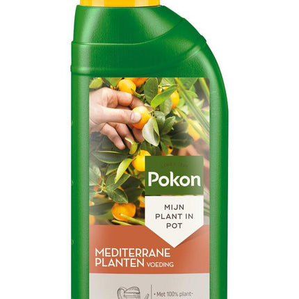 Engrais méditerranéen Pokon 500 ml 