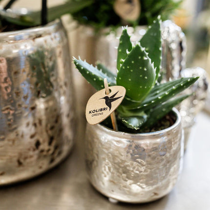 Kolibri Home | Luxury flower pot - Gold ceramic decorative pot - Ø6cm