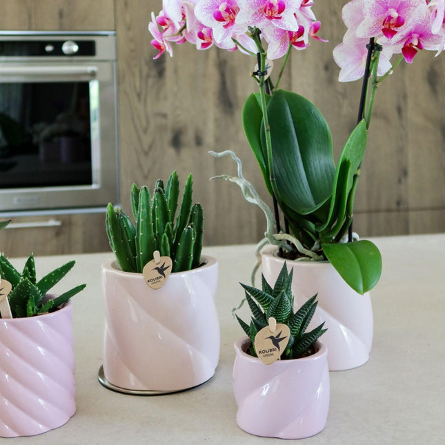 Kolibri Home | Maceta decorativa Candy - Rosa - Ø9cm