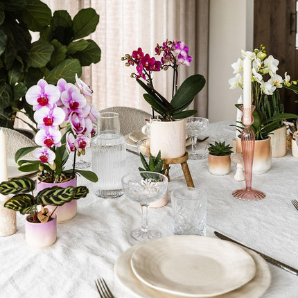 Kolibri Home | Gradience decorative pot - Pink - Ø6cm