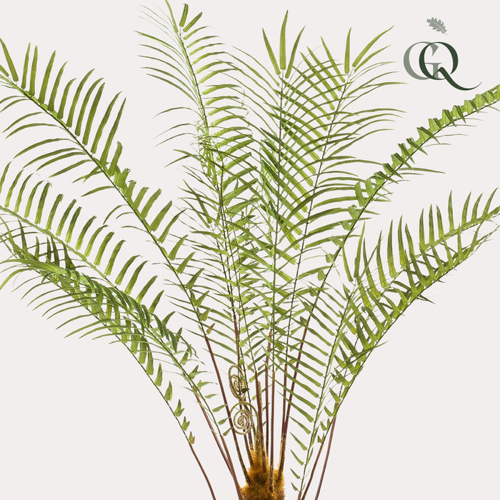 Kunstplant - Boomvaren - ↕125cm - Ø15cm