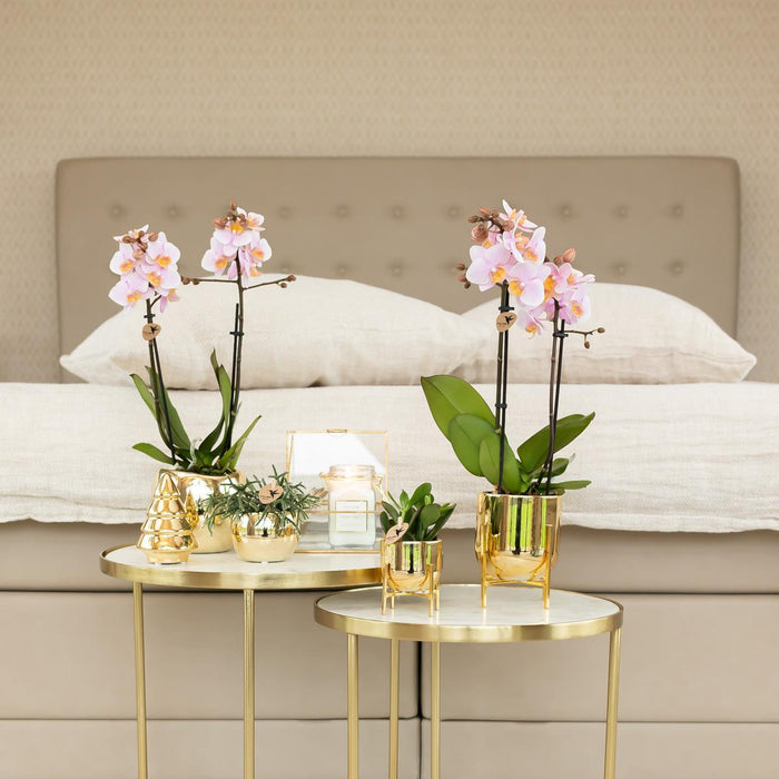 Kolibri Home | Ornament - Decoratie beeld Kerstboom - ↕12cm - Goud
