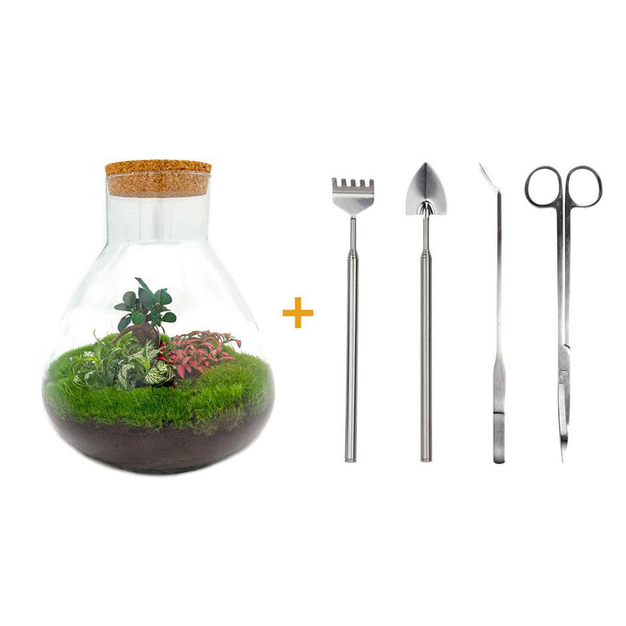 DIY terrarium - Sam XL Bonsai - ↕35cm - Rake + Shovel + Tweezer