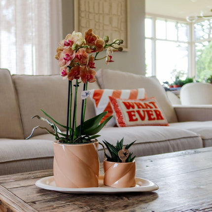 Kolibri Home | Candy decorative pot - Peach - Ø6cm
