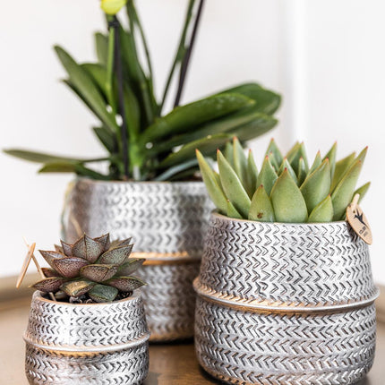 Kolibri Home | Groove flower pot - Golden ceramic decorative pot - Ø9cm