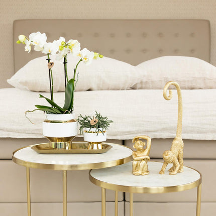 Kolibri Home | Le Chic flower pot - White ceramic decorative pot with gold details - Ø6cm