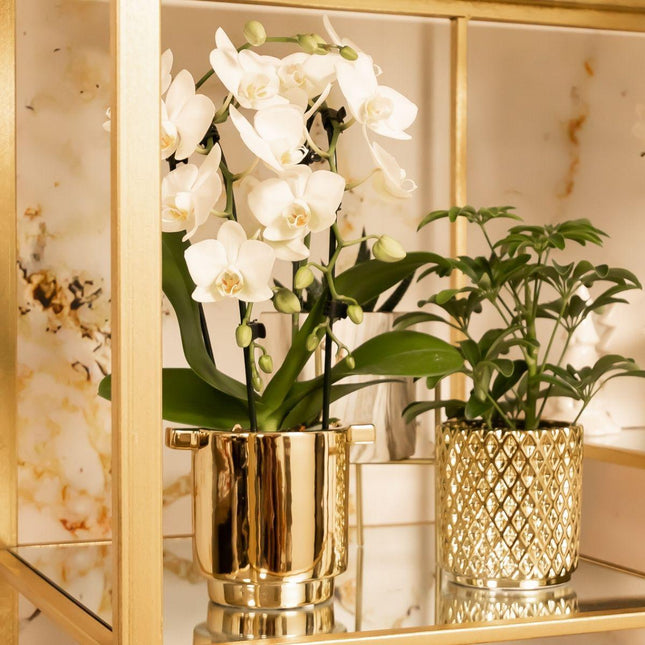Kolibri Home | Maceta metálica con forma de diamante - Maceta decorativa de cerámica dorada de 9 cm de diámetro.