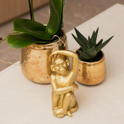 Kolibri Home | Luxury flower pot - Gold ceramic decorative pot - Ø9cm