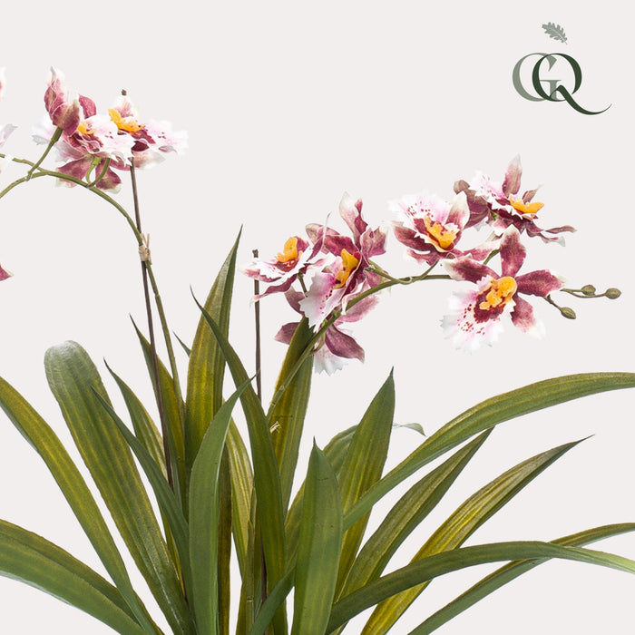 Kunstplant - Orchidee - Bordeaux - ↕45cm - Ø16cm