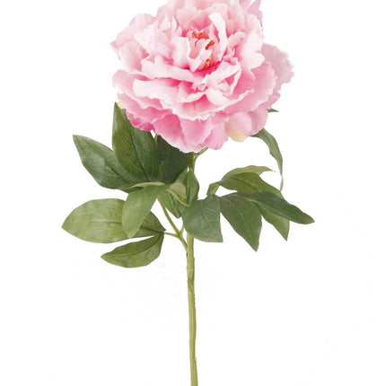 Flores artificiales Solo - Rosa claro - Peonías - 5 unidades - ↕65cm
