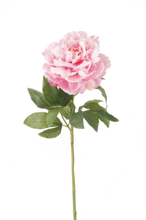 Kunstbloemen Solo - Light Pink - Peonies - 5x - ↕65cm