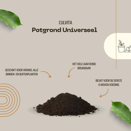 Culvita Universal-Blumenerde inklusive 2-Monats-Pflanzennahrung – Universelle Blumenerde für Zimmer- und Gartenpflanzen – 40 Liter