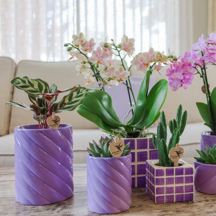 Kolibri Home | Candy decorative pot | Tall - Lilac - Ø9cm