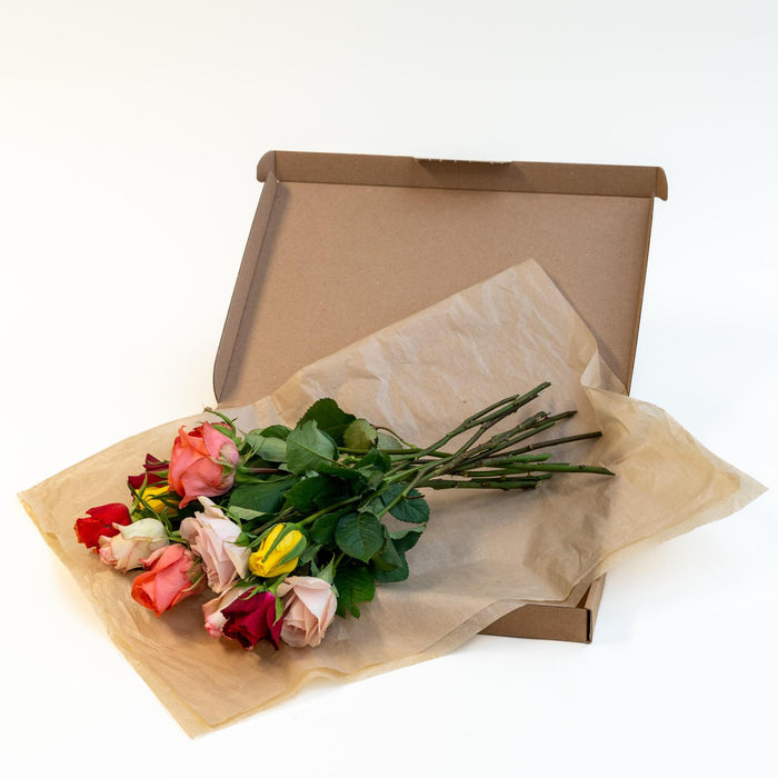 Letterbox Roses Mixed Colors - ↕35cm
