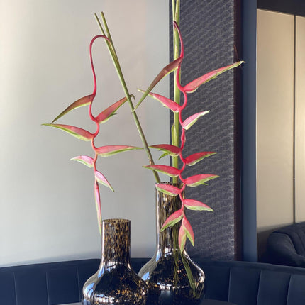 Vase en verre - S - H37 L25 - Seim - Cheetah