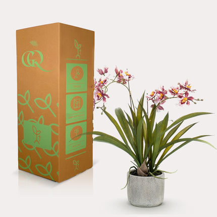 Artificial plant Orchid - Bordeaux - ↕45cm - Ø16cm