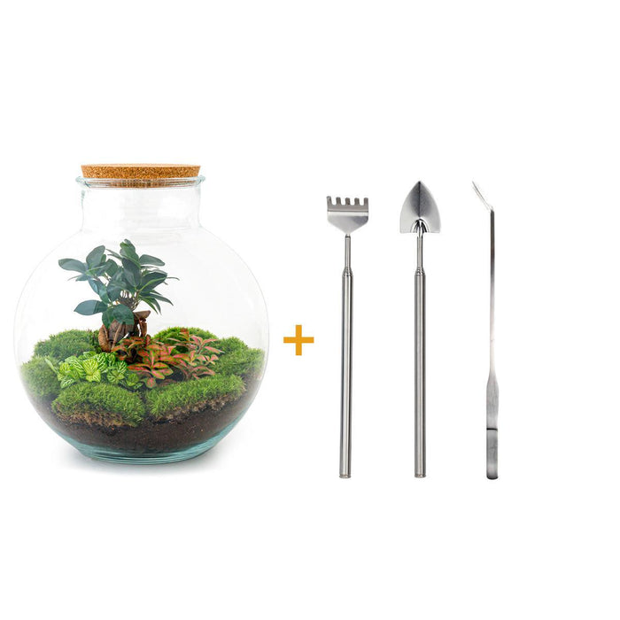 DIY terrarium - Bolder Bob Bonsai - ↕30cm - Rake + Shovel + Tweezer