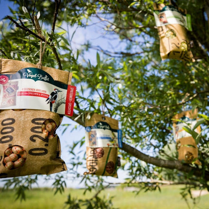 Buffet pour oiseaux | Mélange écologique de nourriture pour oiseaux en sachets de 4 (4 x 300 g)