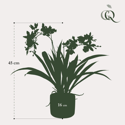 Artificial plant Orchid - Bordeaux - ↕45cm - Ø16cm