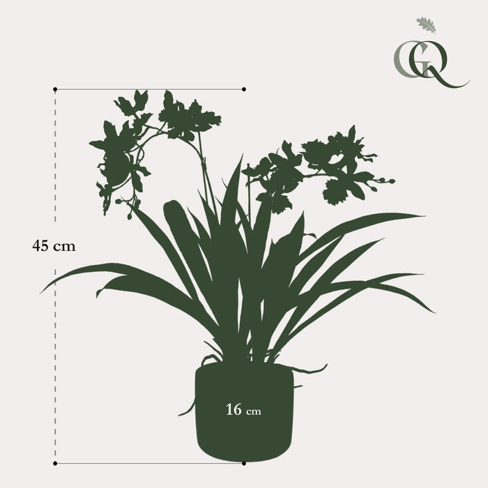 Kunstplant - Orchidee - Bordeaux - ↕45cm - Ø16cm