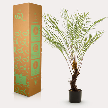 Artificial plant Tree fern - ↕125cm - Ø15cm