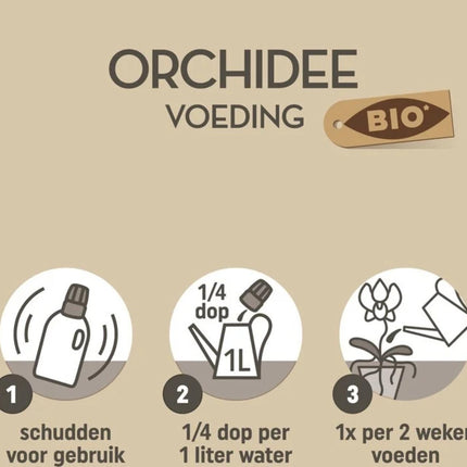 Pokon Bio-Orchideendünger 250 ml