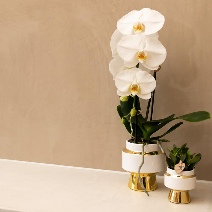 Kolibri Home | Le Chic bloempot - Witte keramieken sierpot met gouden details - Ø6cm