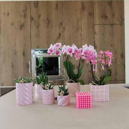 Kolibri Home | Candy decorative pot | Tall - Pink - Ø6cm