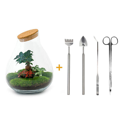 Terrario fai da te - Bonsai Drop XL - ↕37cm - Rastrello + Pala + Pinzette + Forbici