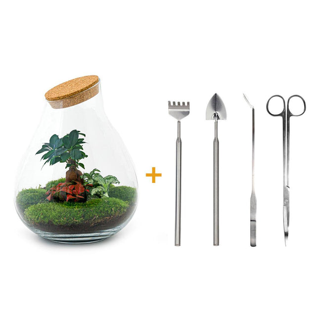 Terrario fai da te - Bonsai Drop XL - ↕37cm - Rastrello + Pala + Pinzette + Forbici