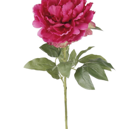 Flores artificiales Solo - Rosa oscuro - Peonías - 5 unidades - ↕65cm