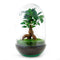 Plant in glazen pot